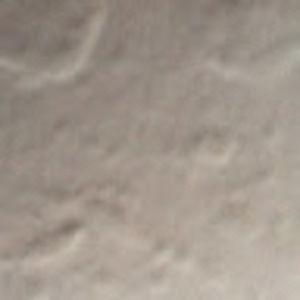 Meet your Posher, Carlos